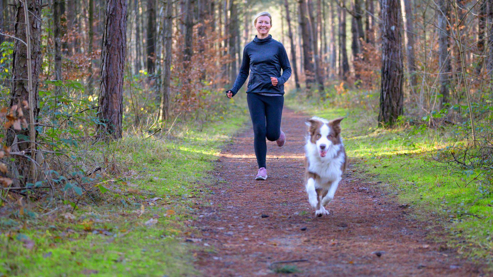 Healthy Dog