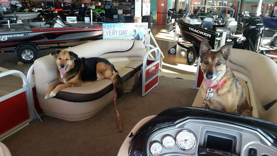 se permiten perros en bass pro calgary