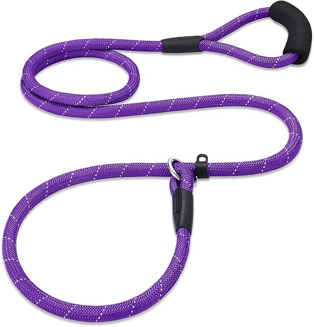 slip lead dog leash