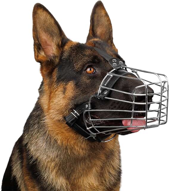 dog basket muzzle